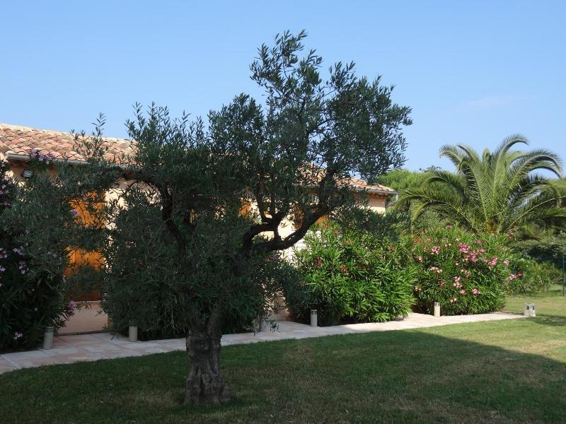 Chambres D'hôtes Villa Alizé image