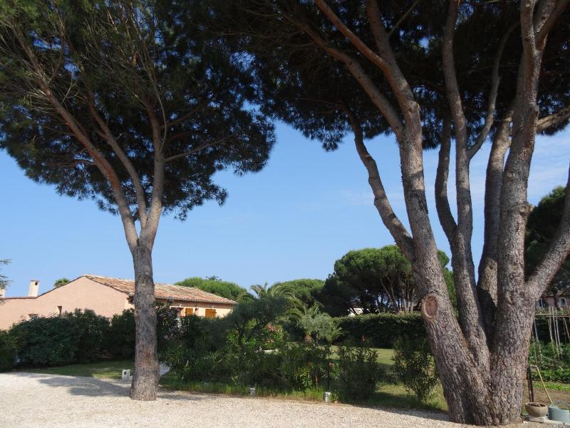 Chambres D'hôtes Villa Alizé image