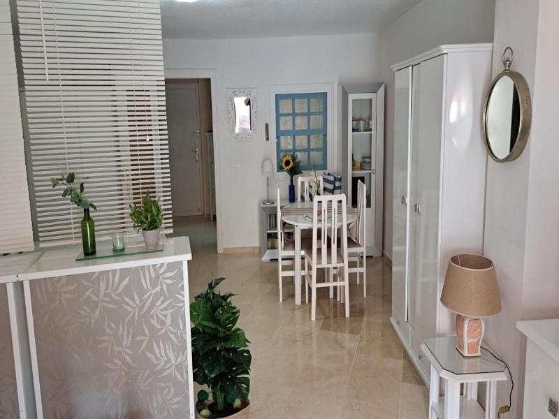 Marbella Skol image