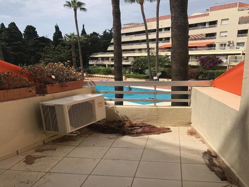 Marbella Skol image