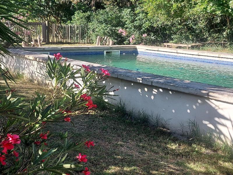 Bergerie D'alivon En Camargue image