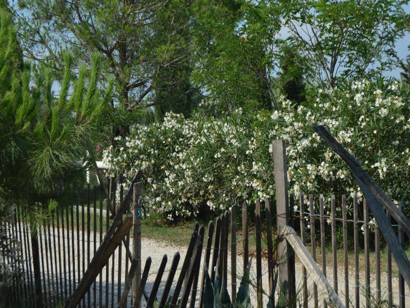 Bergerie D'alivon En Camargue image