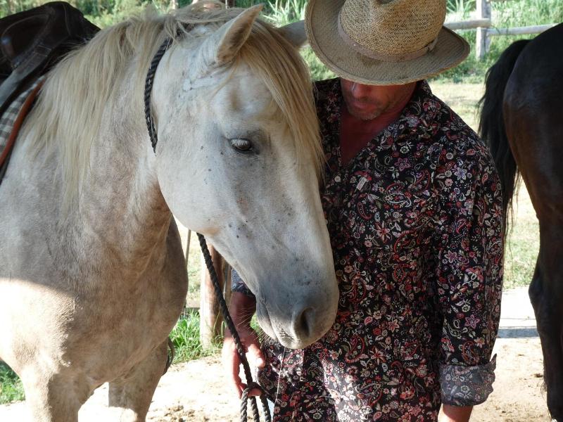 Bergerie D'alivon En Camargue image