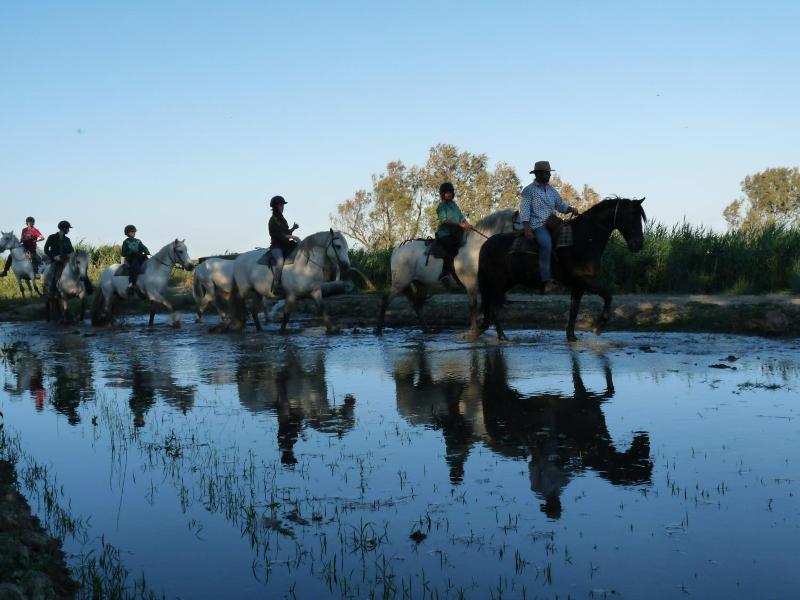 Bergerie D'alivon En Camargue image