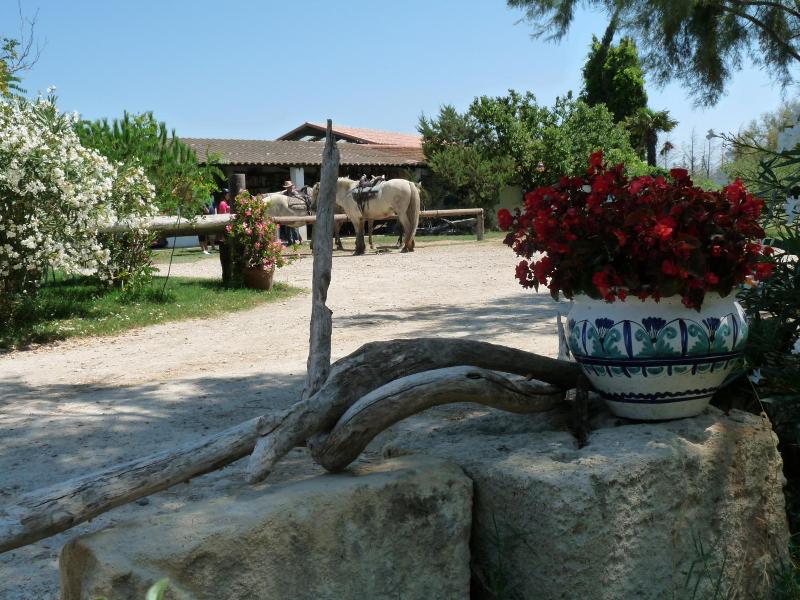 Bergerie D'alivon En Camargue image