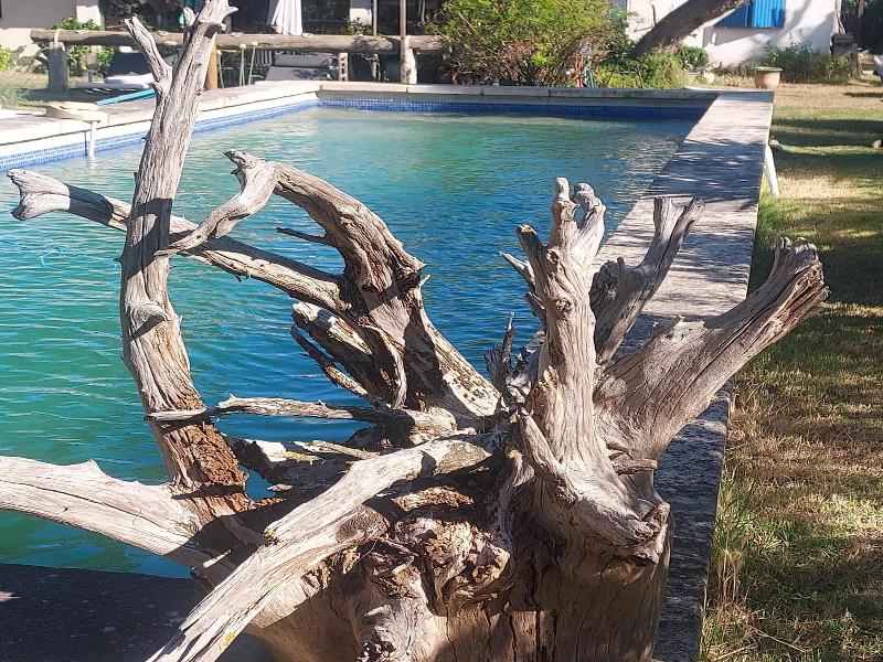 Bergerie D'alivon En Camargue image