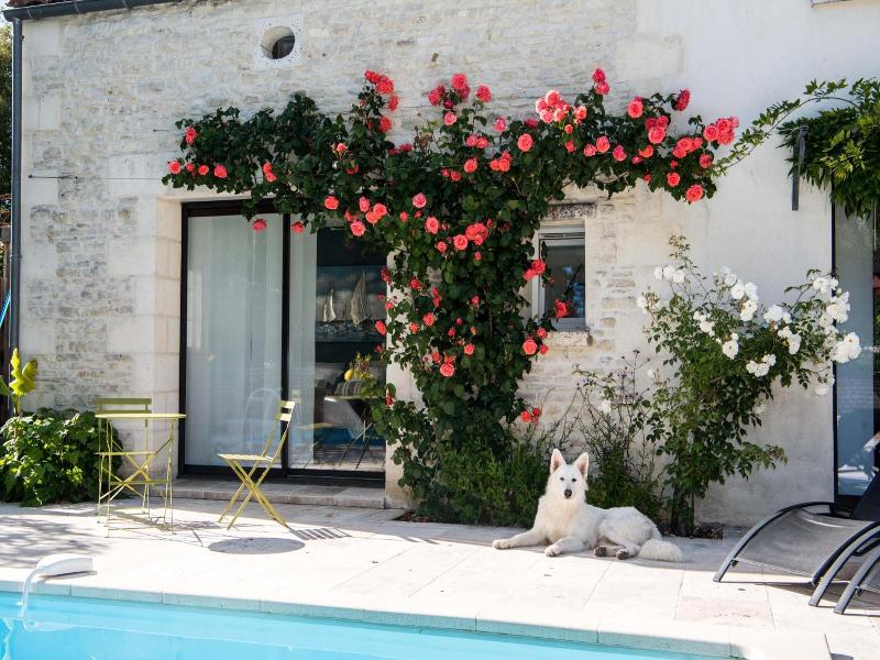 Logis De La Brumanderie image