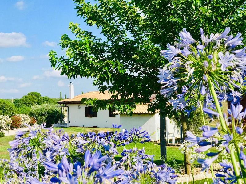 La Collina Delle Fonti image