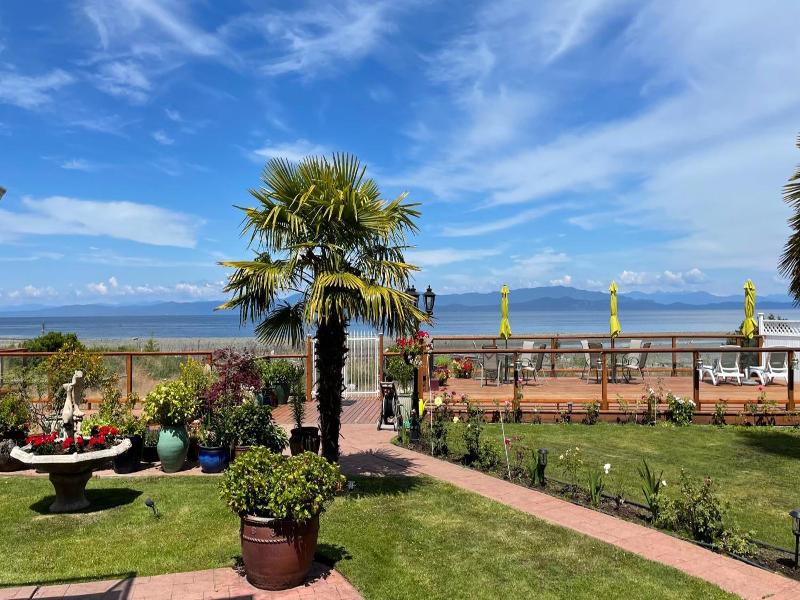 Buena Vista By The Sea