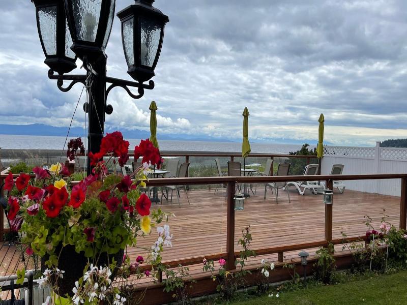 Buena Vista By The Sea