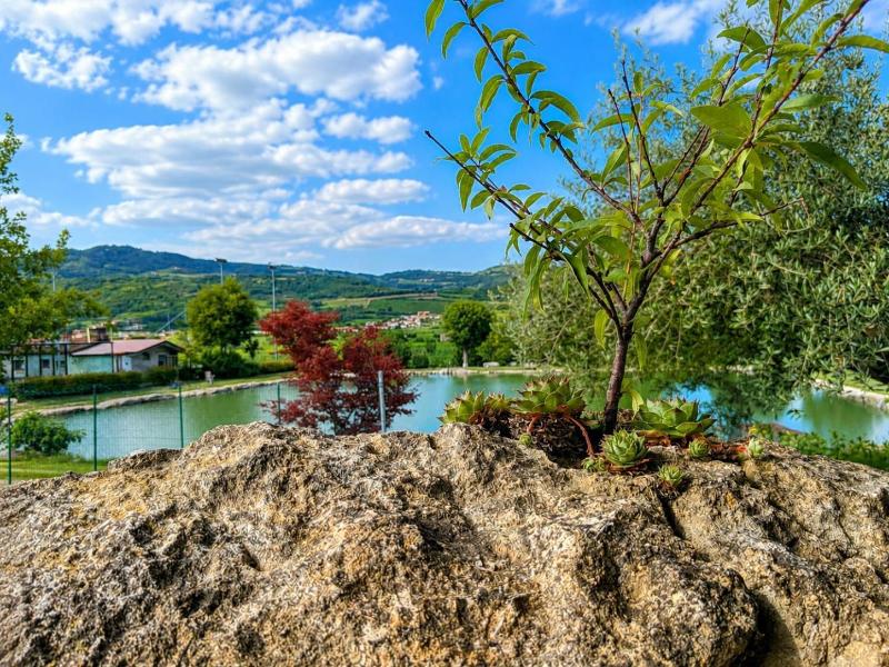 La Fontanella image