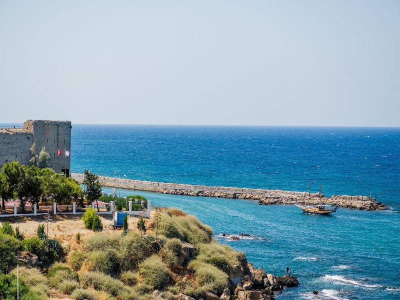 Olivia Palm Hotel image