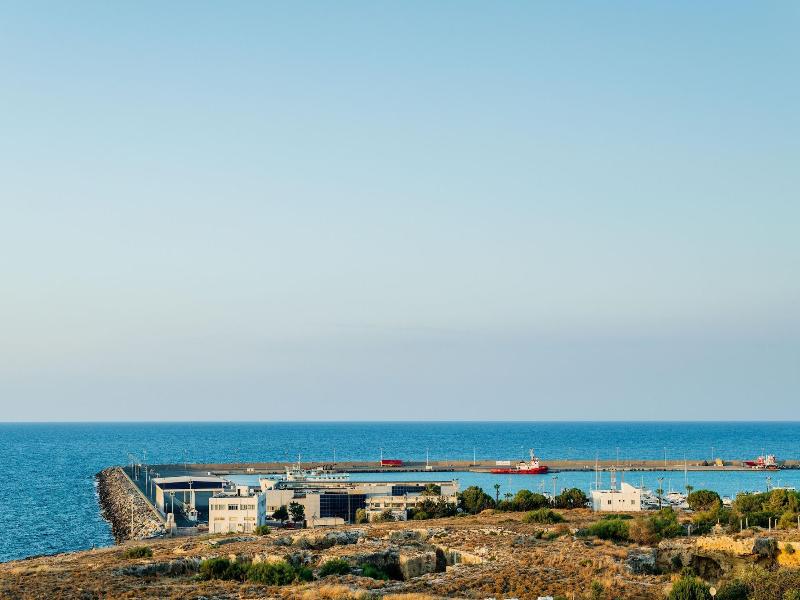Olivia Palm Hotel image