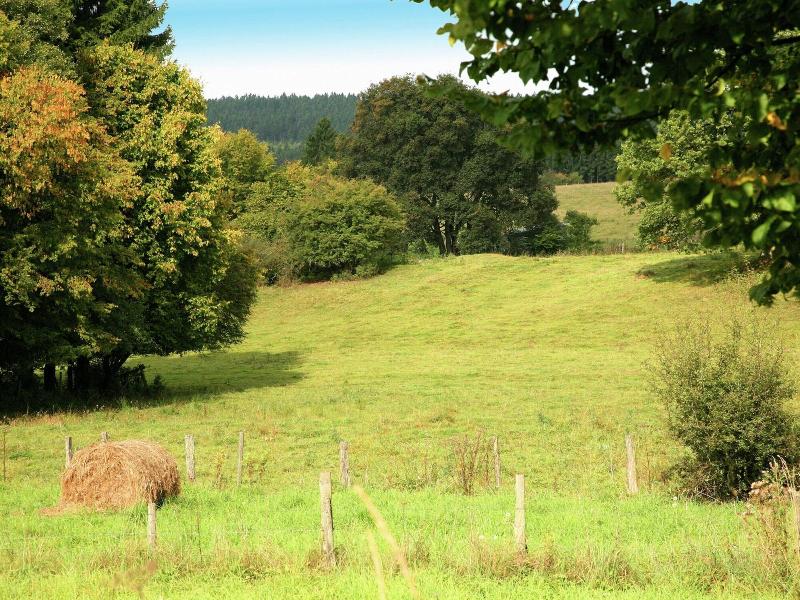 Holiday Home In Ardennes Near Valley Of Taste image