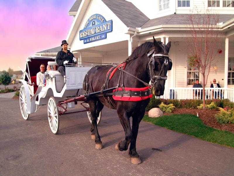 Blue Gate Garden Inn image