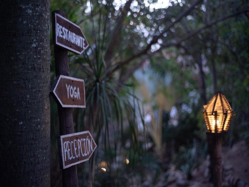 El Alquimista Yoga Spa image