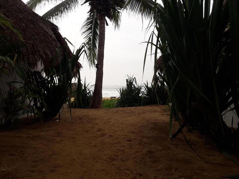El Alquimista Yoga Spa image