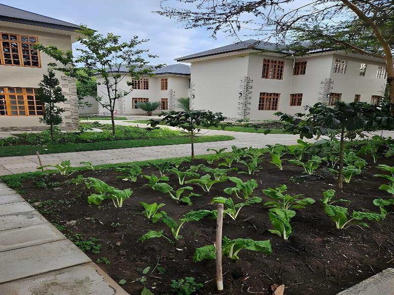 Kahawa House image