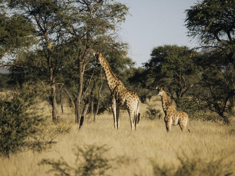 Our Habitas Namibia