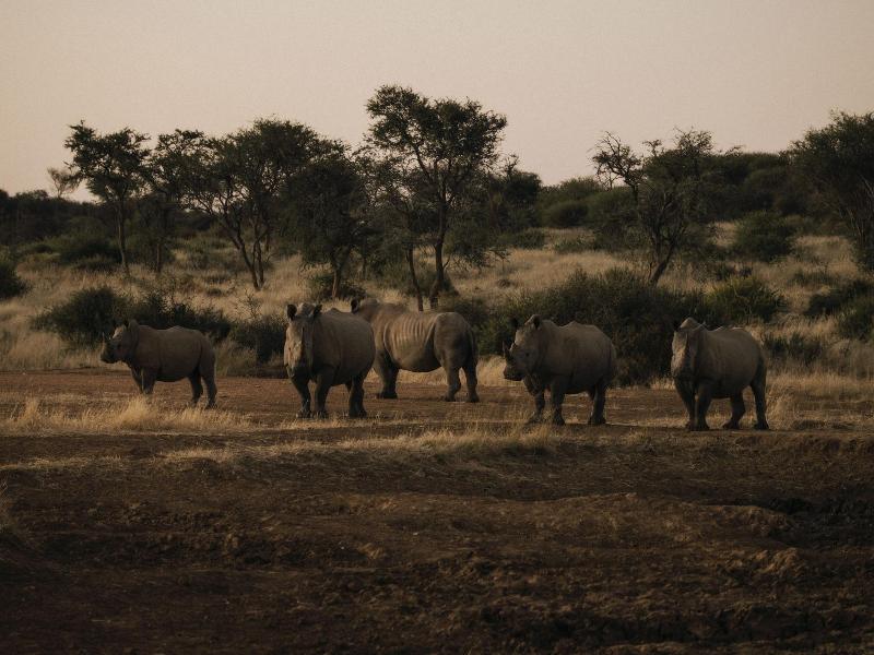 Our Habitas Namibia