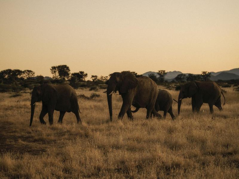 Our Habitas Namibia