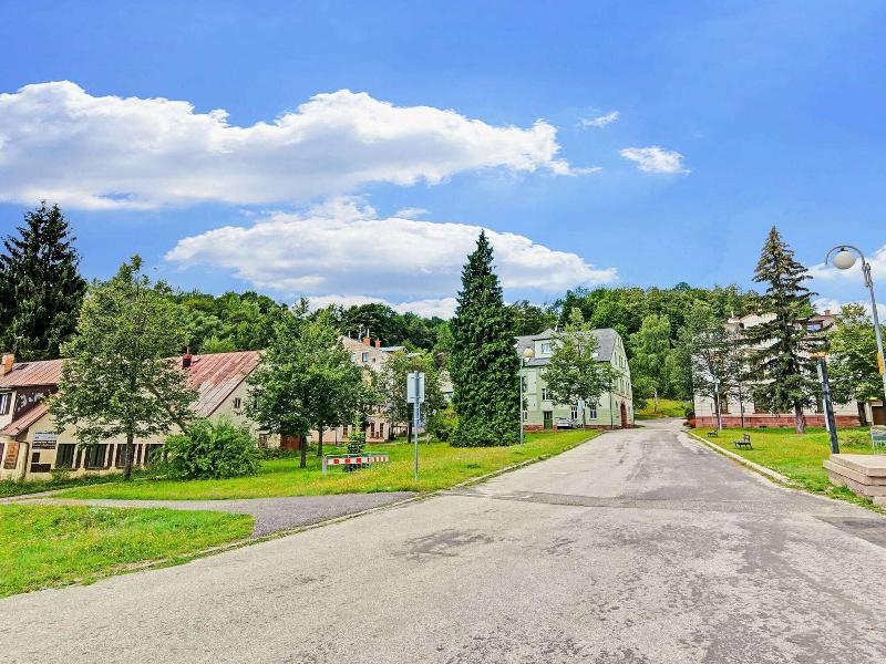 Lavish Cottage Near Ski Area In Cerny Dul image