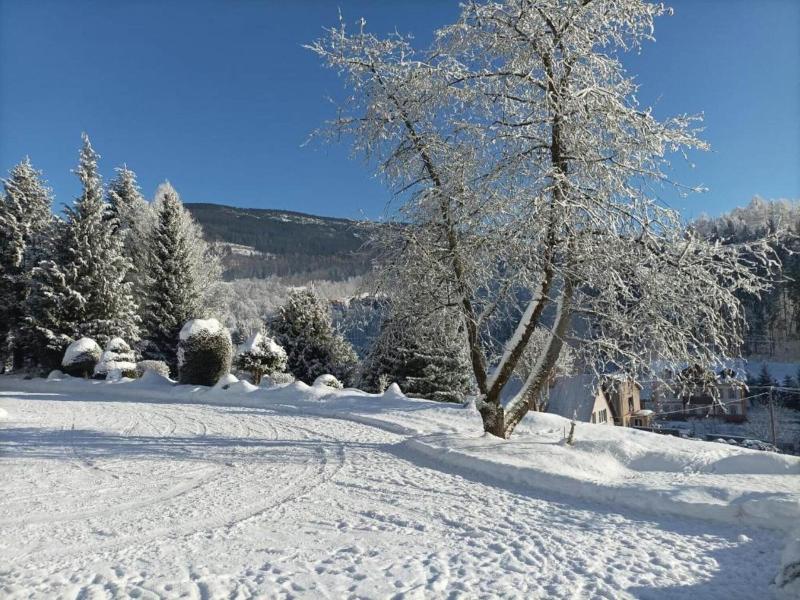 Lavish Cottage Near Ski Area In Cerny Dul image
