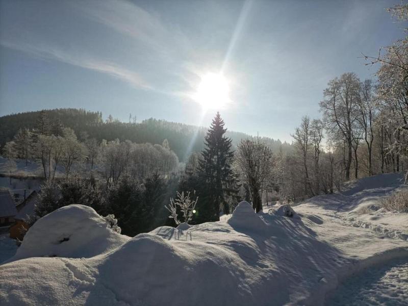 Lavish Cottage Near Ski Area In Cerny Dul image