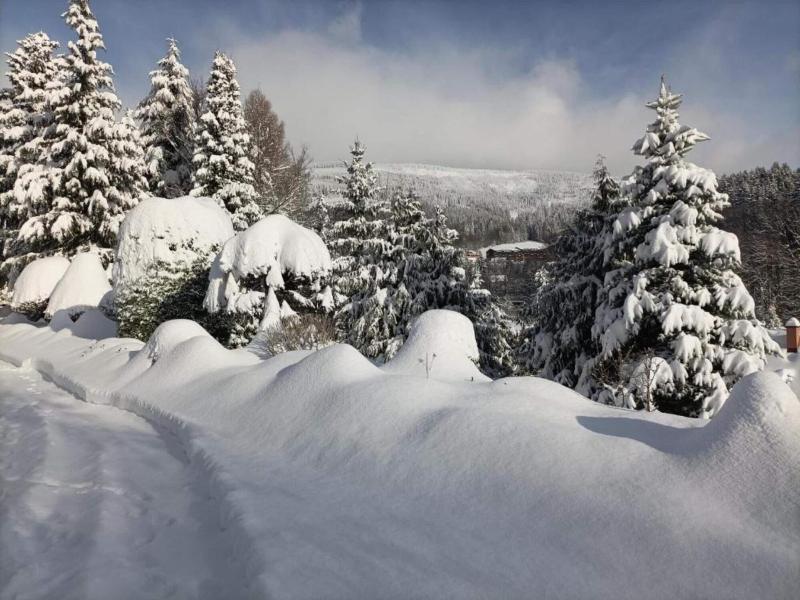 Lavish Cottage Near Ski Area In Cerny Dul image