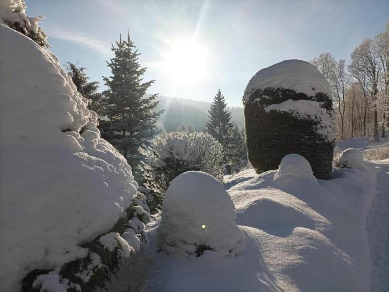 Lavish Cottage Near Ski Area In Cerny Dul image
