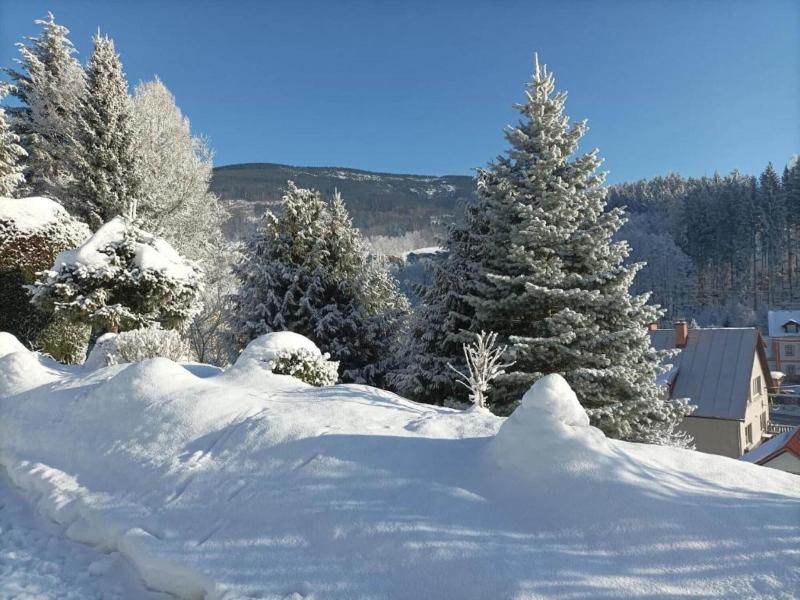 Lavish Cottage Near Ski Area In Cerny Dul image