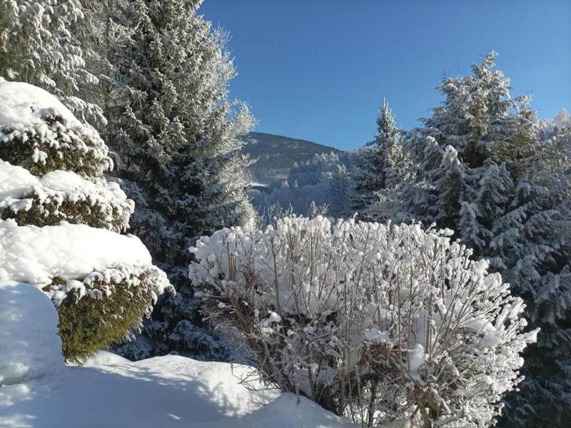 Lavish Cottage Near Ski Area In Cerny Dul image