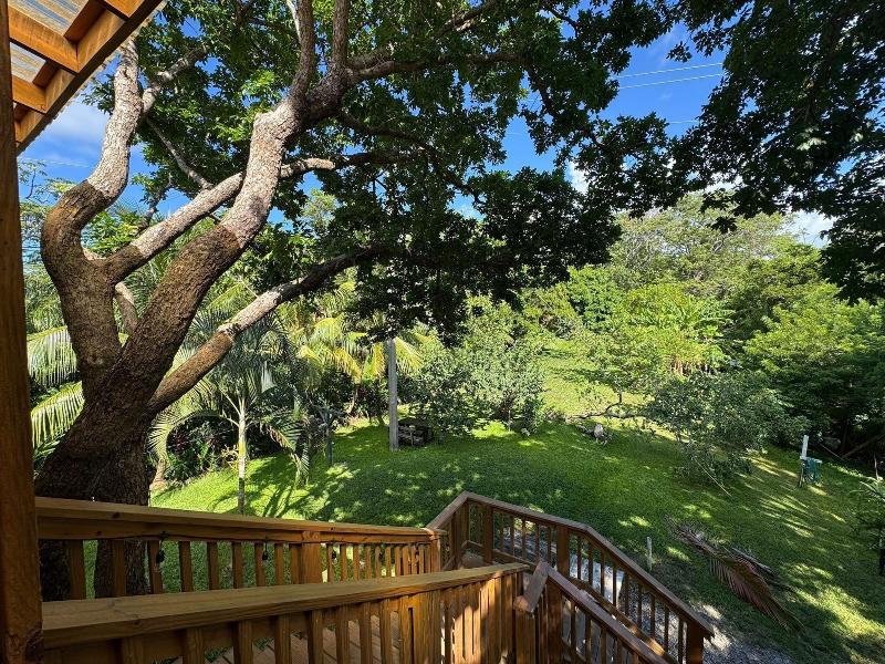 Guava Grove Resort Villas image