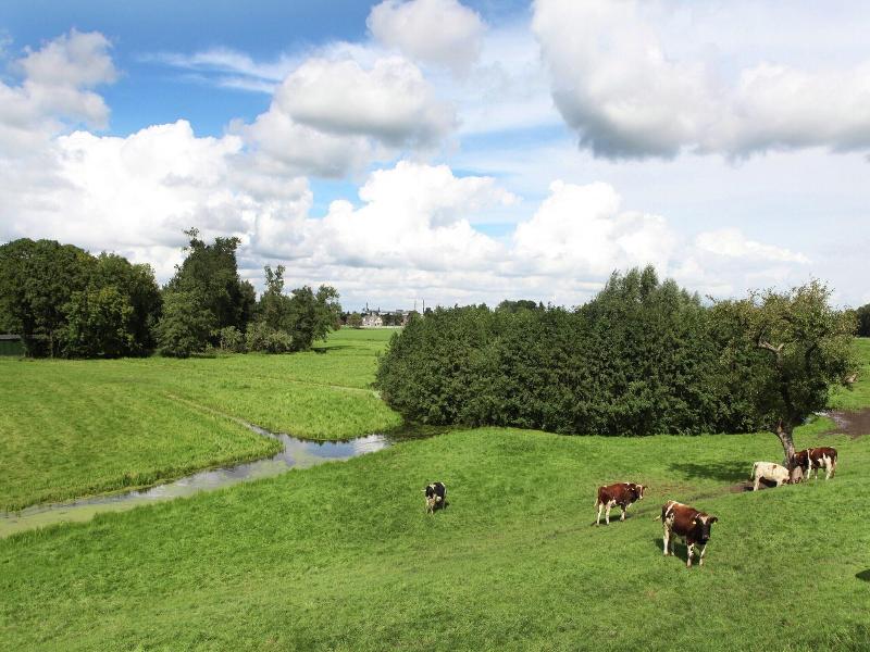 Quaint Farmhouse Near River In Oosterwijk image