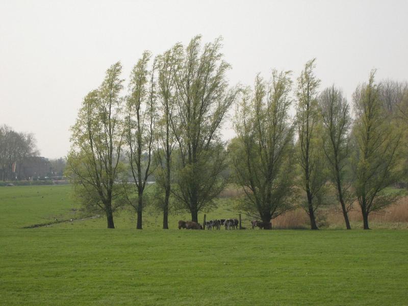 Quaint Farmhouse Near River In Oosterwijk image