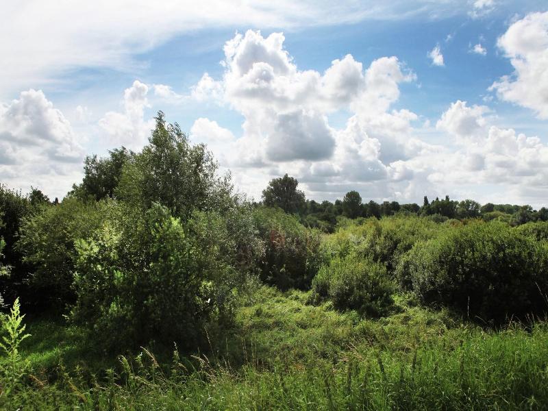 Quaint Farmhouse Near River In Oosterwijk image