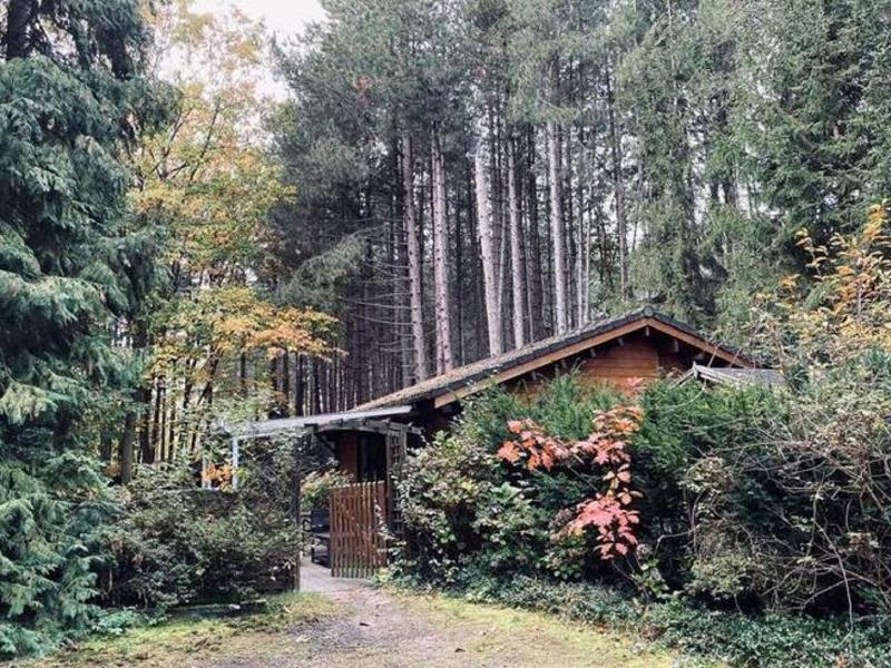 Peaceful Chalet Retreat image
