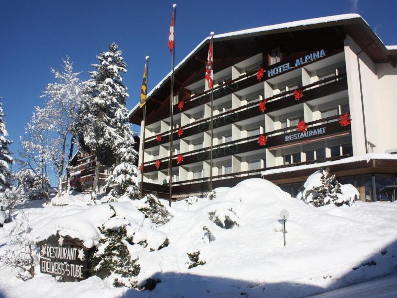 Hotel Restaurant Alpina image