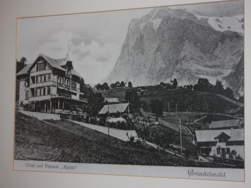 Hotel Restaurant Alpina image