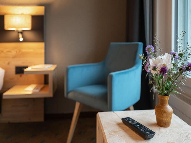 Hotel Restaurant Alpina image