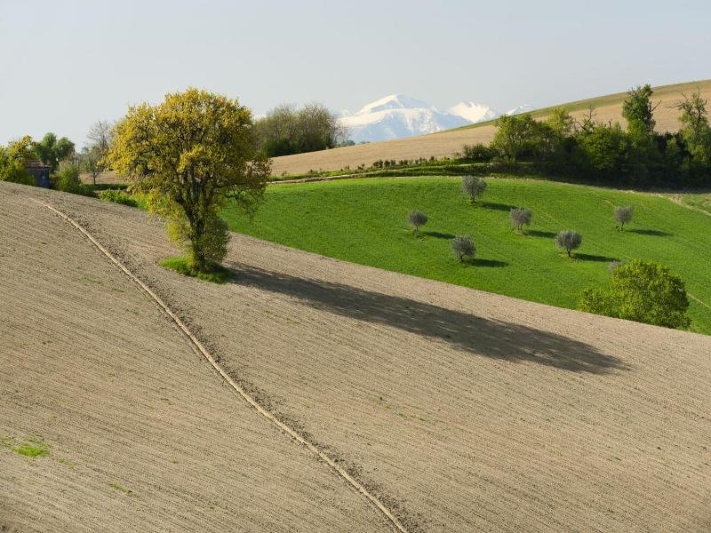 Relais Il Margarito image
