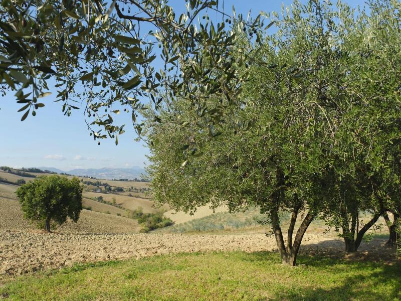 Relais Il Margarito image