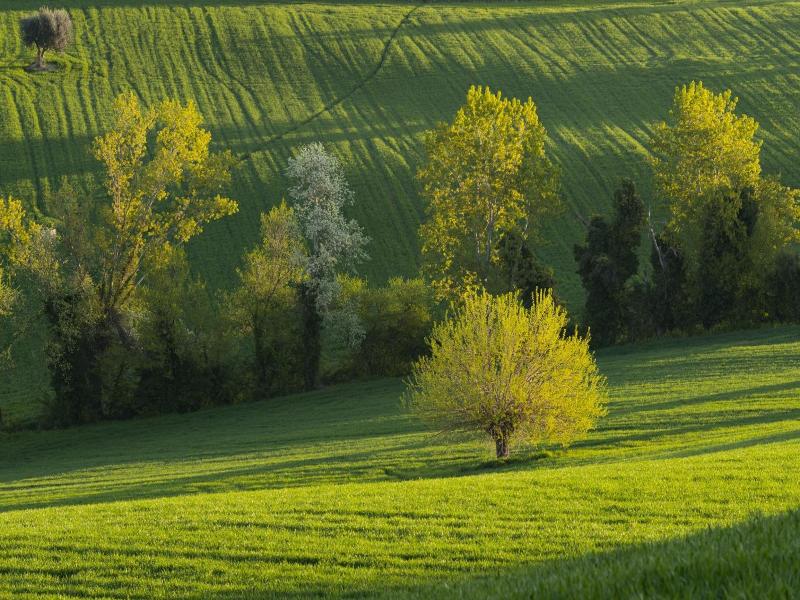 Relais Il Margarito image