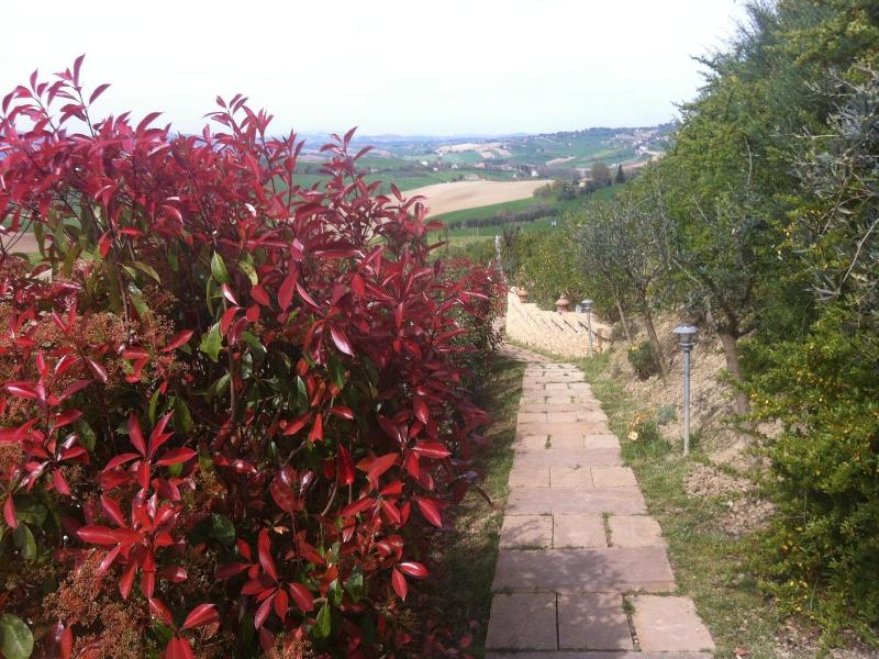 Relais Il Margarito image