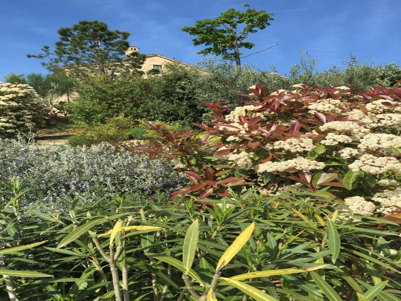 Relais Il Margarito image