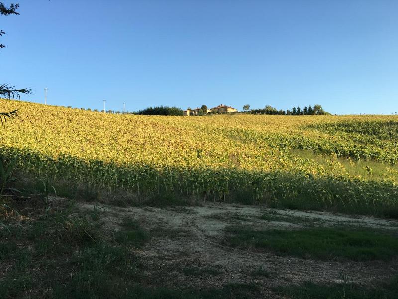 Relais Il Margarito image