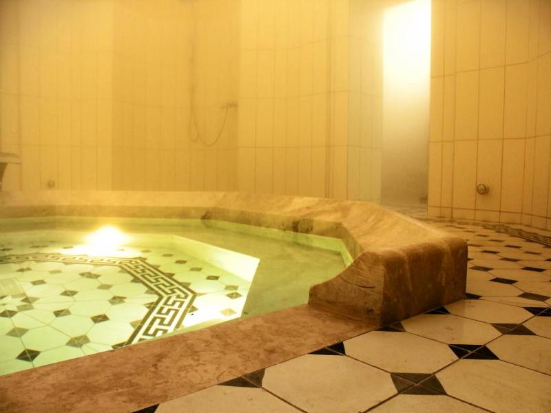 Isa Begov Hamam Hotel image