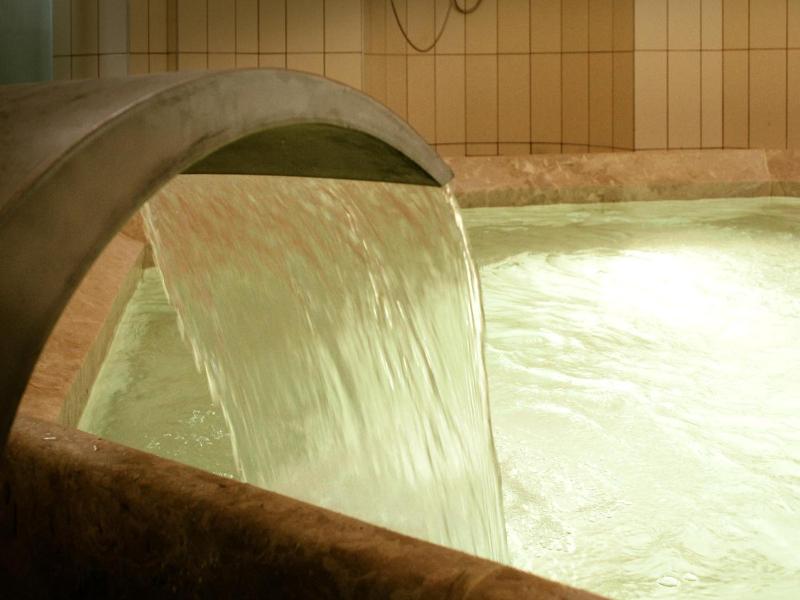 Isa Begov Hamam Hotel image