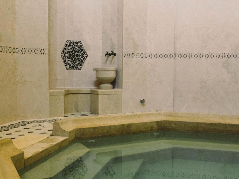 Isa Begov Hamam Hotel image