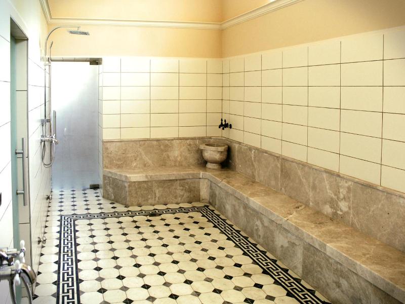 Isa Begov Hamam Hotel image